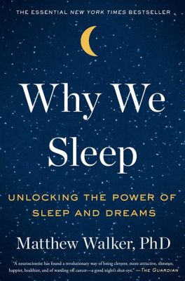  “Why We Sleep”：An Incisive Exploration into the Realm of Dreams and its Profound Influence